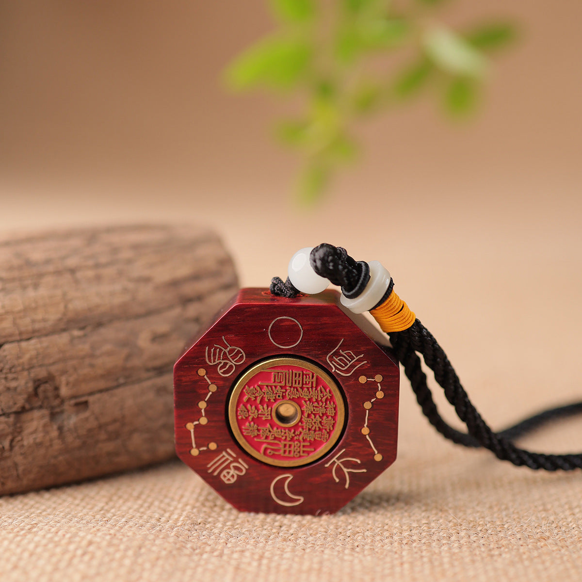 Taoist Taiji Bagua Pendant with Rotating Charm Coin